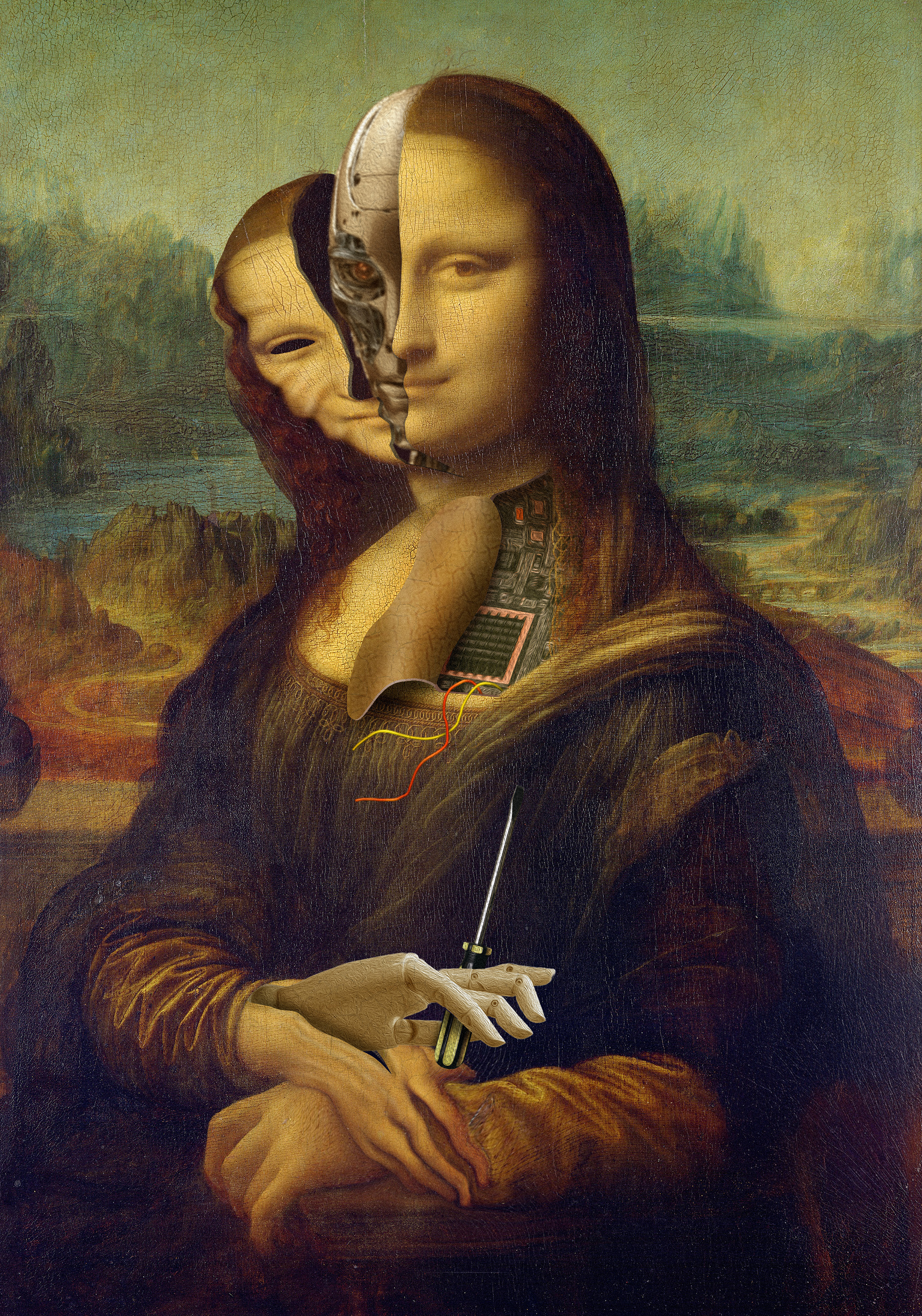 Mona Lisa: Under the Skin